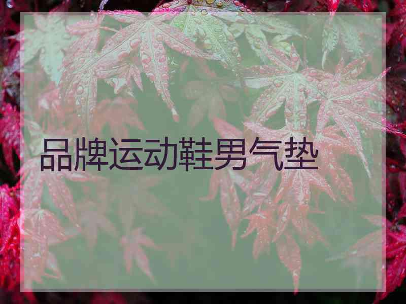 品牌运动鞋男气垫