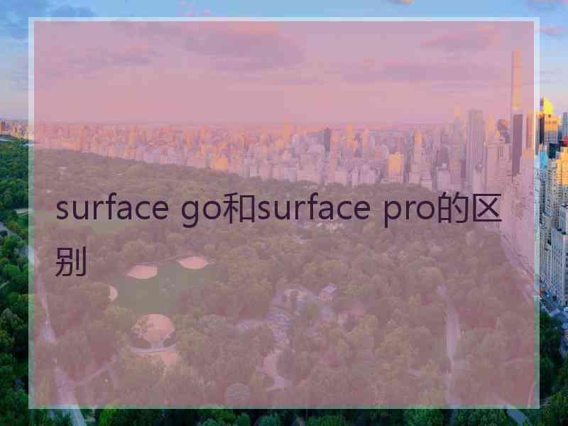 surface go和surface pro的区别