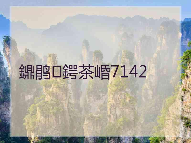 鐤鹃鍔茶崏7142