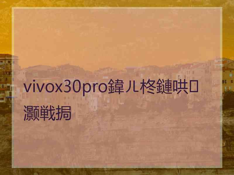 vivox30pro鍏ㄦ柊鏈哄灏戦挶