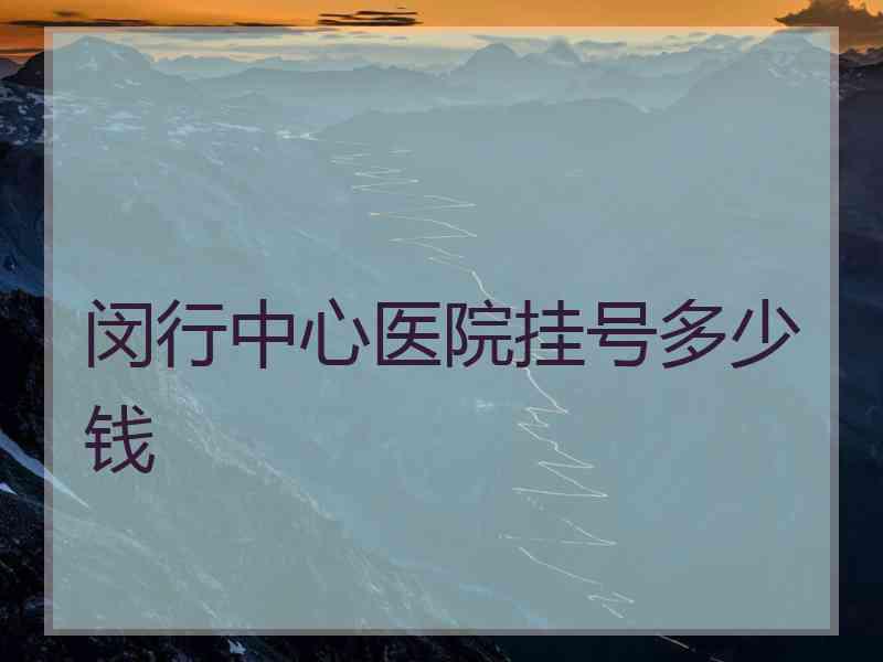 闵行中心医院挂号多少钱