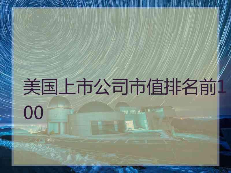 美国上市公司市值排名前100