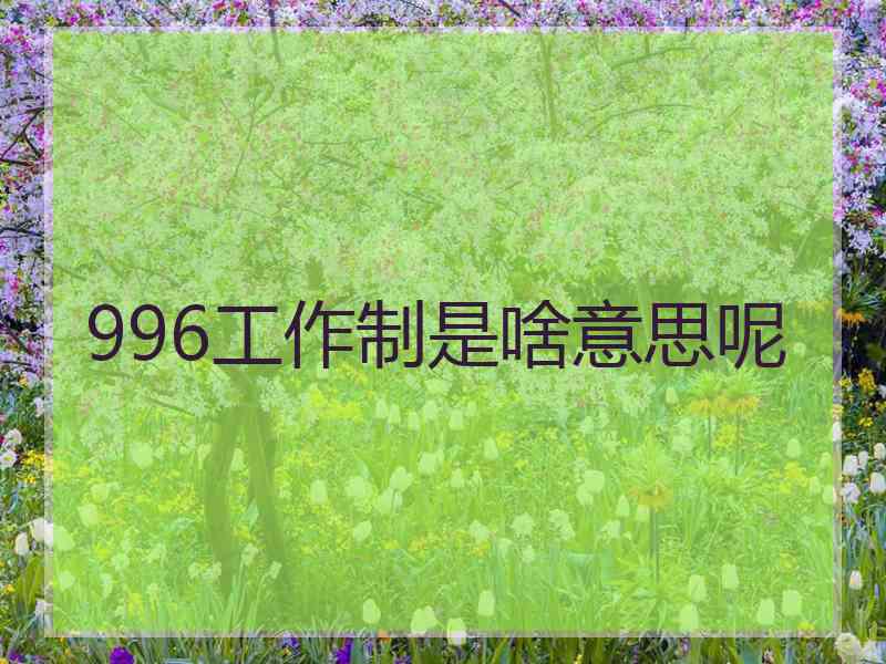 996工作制是啥意思呢