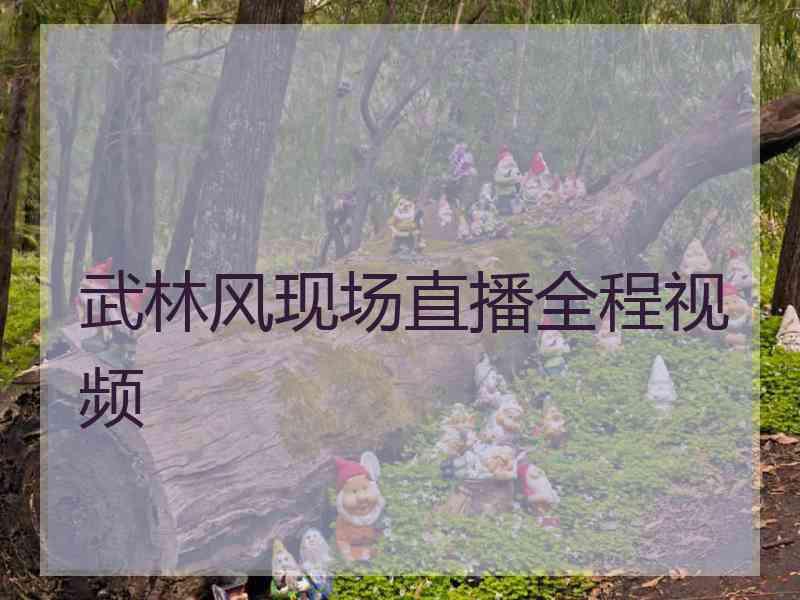 武林风现场直播全程视频