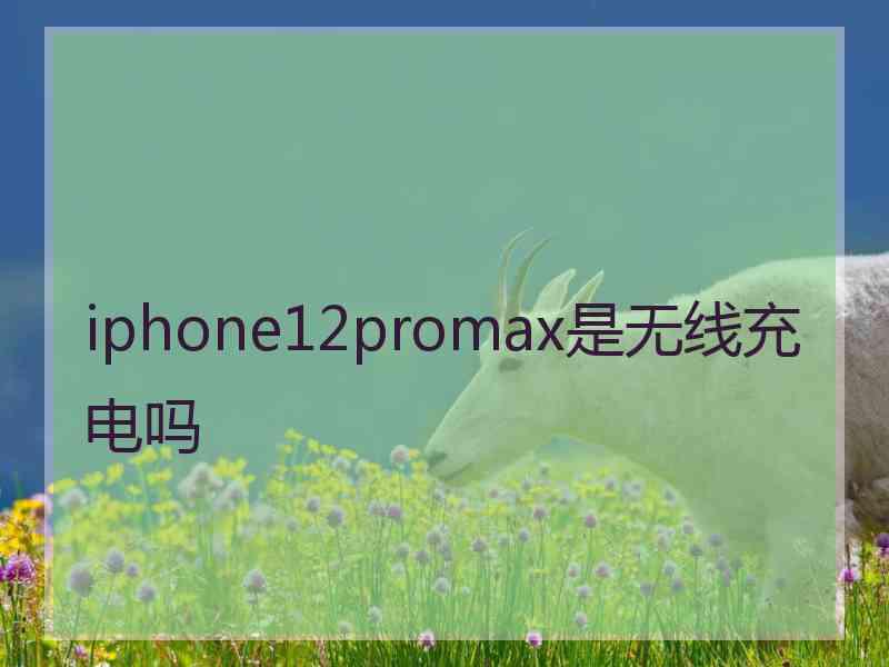 iphone12promax是无线充电吗