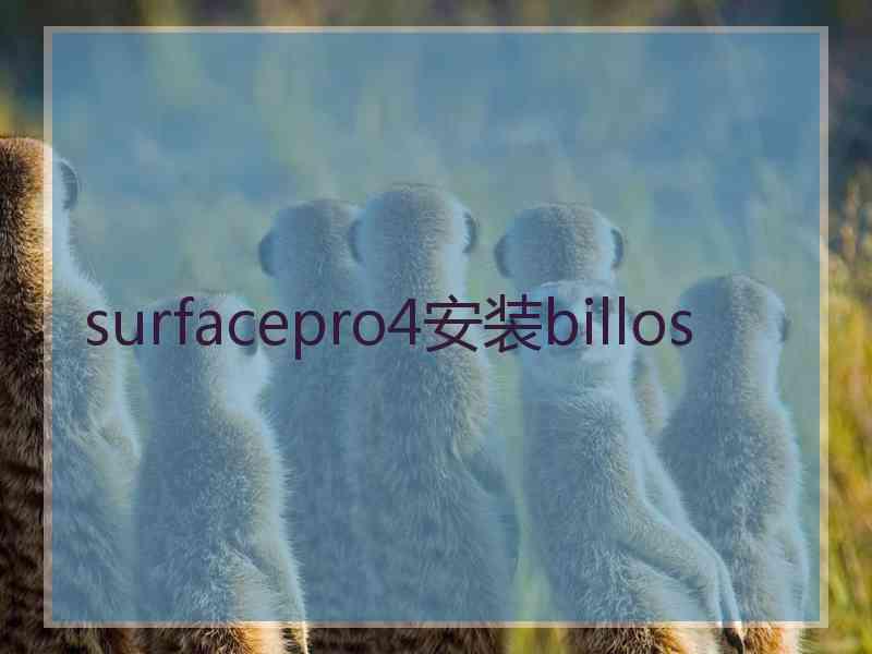 surfacepro4安装billos