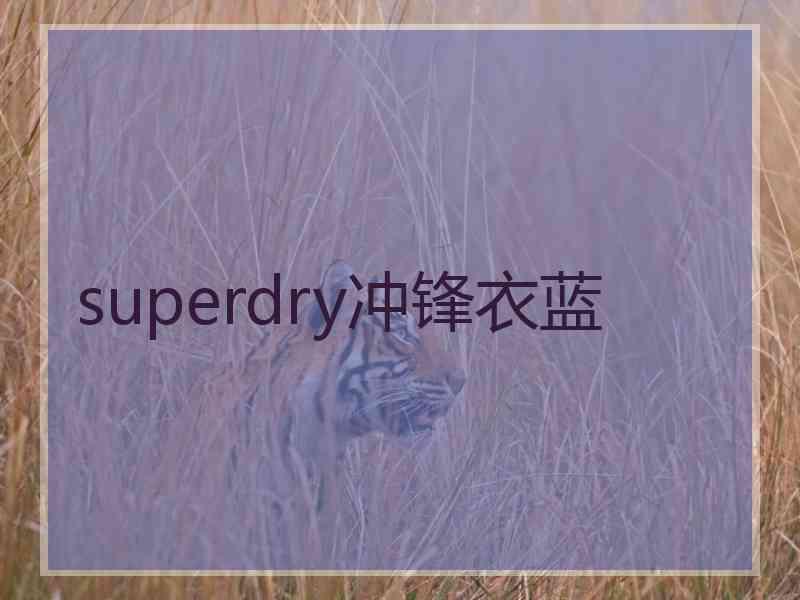 superdry冲锋衣蓝