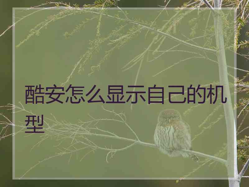 酷安怎么显示自己的机型