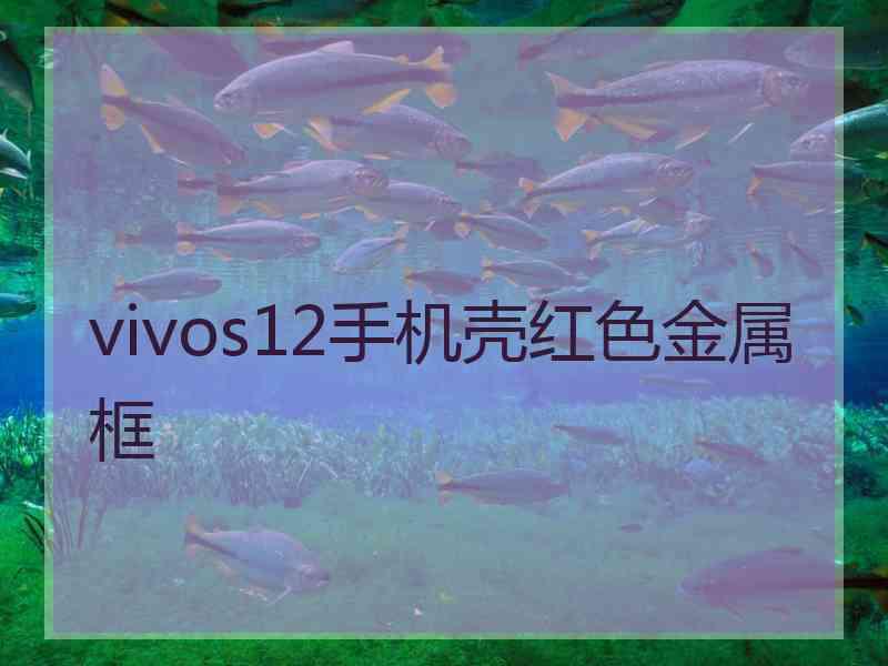 vivos12手机壳红色金属框