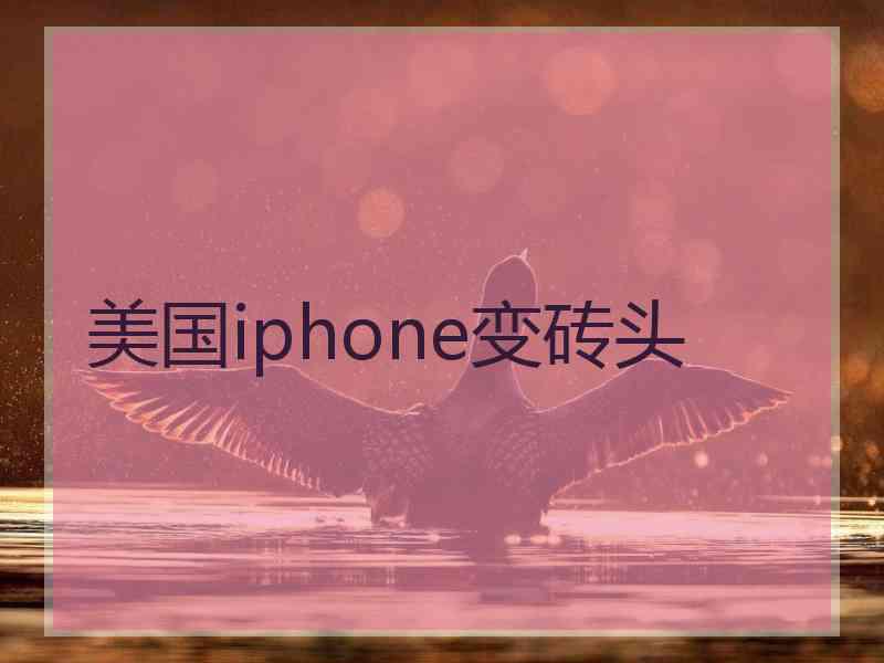 美国iphone变砖头