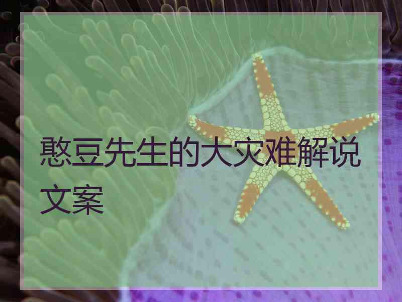 憨豆先生的大灾难解说文案