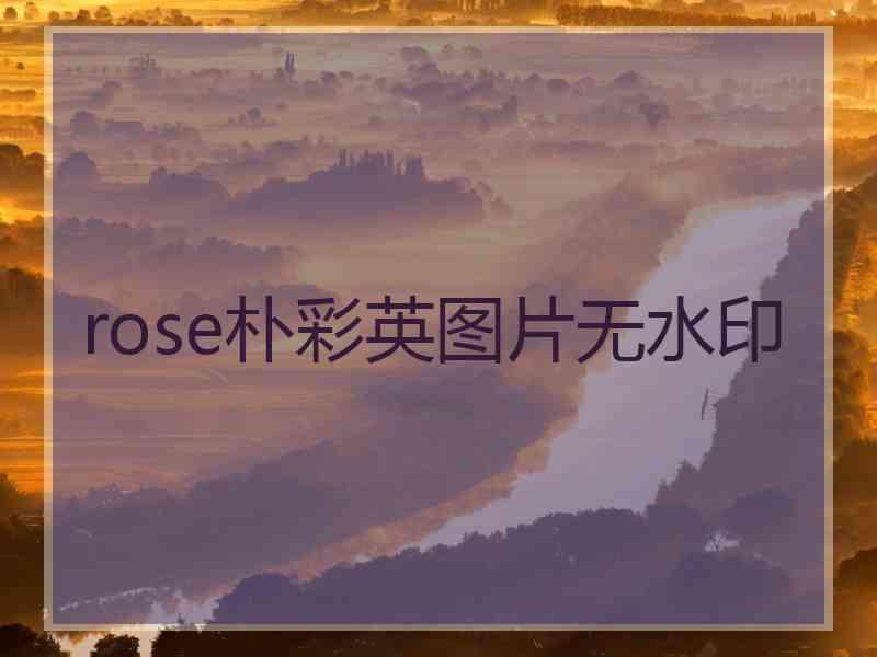 rose朴彩英图片无水印