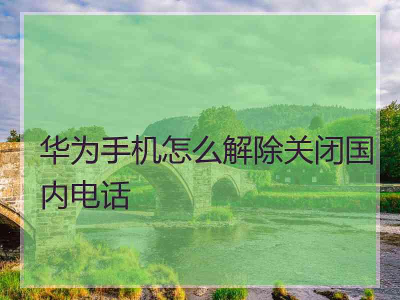 华为手机怎么解除关闭国内电话