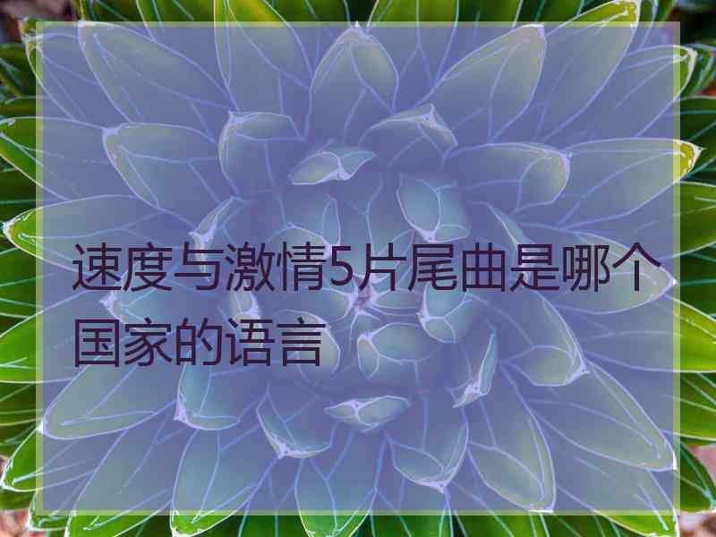 速度与激情5片尾曲是哪个国家的语言