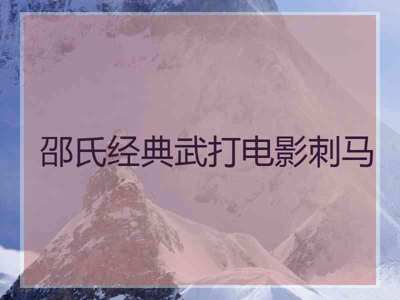 邵氏经典武打电影刺马