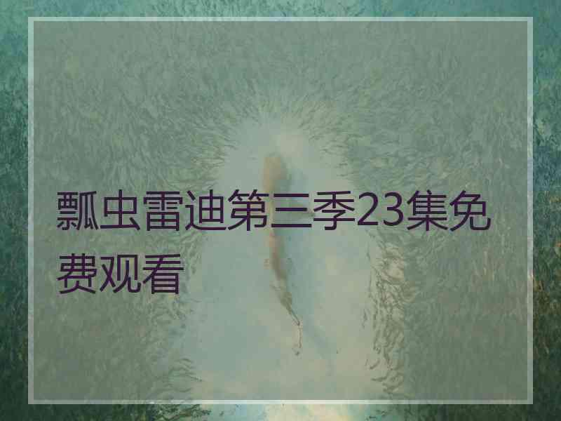 瓢虫雷迪第三季23集免费观看