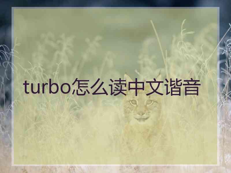 turbo怎么读中文谐音