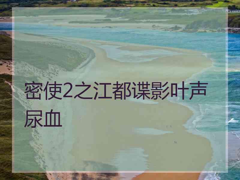 密使2之江都谍影叶声尿血