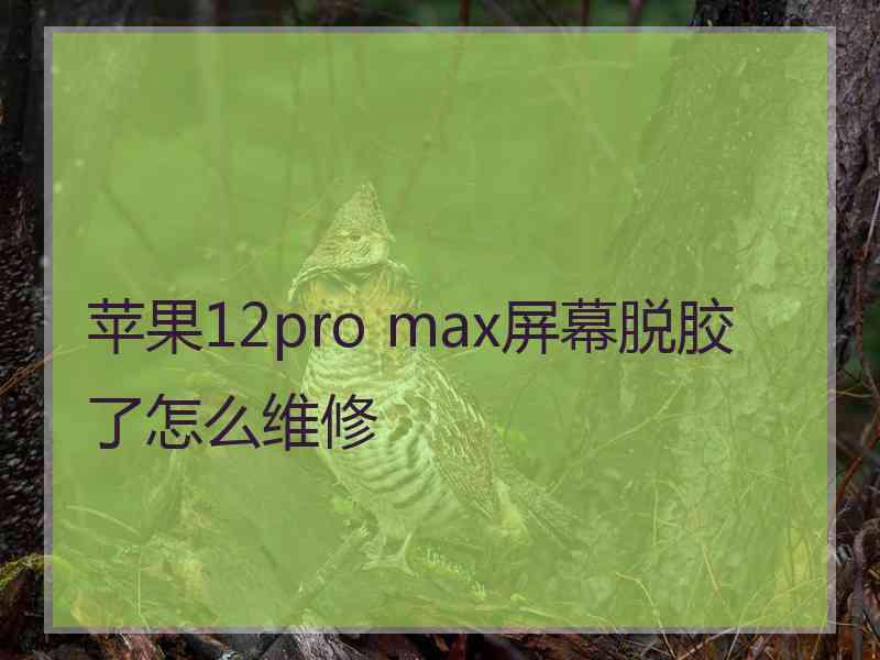 苹果12pro max屏幕脱胶了怎么维修