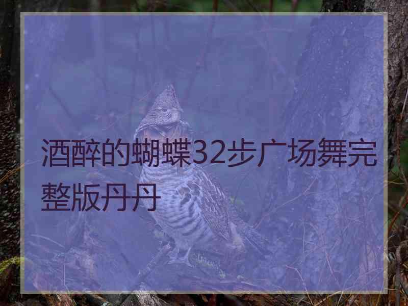 酒醉的蝴蝶32步广场舞完整版丹丹