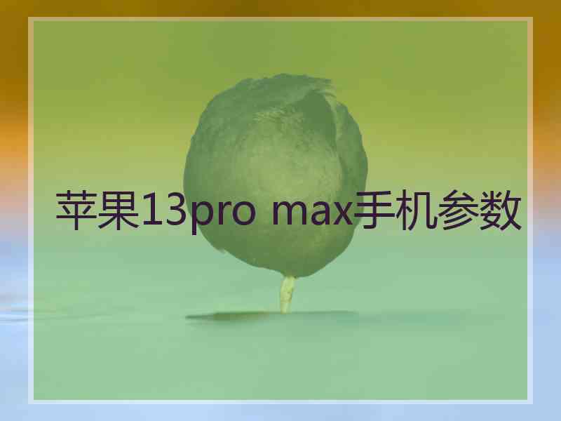 苹果13pro max手机参数