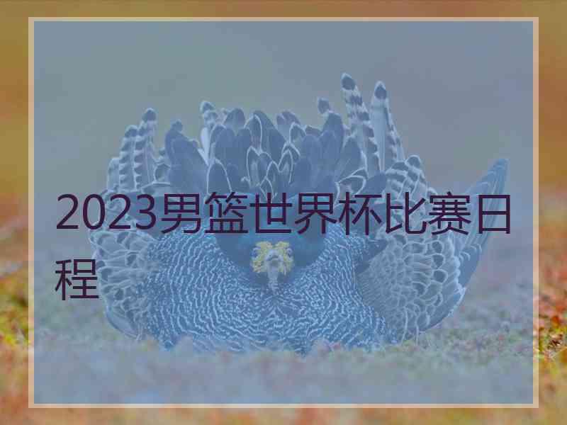 2023男篮世界杯比赛日程