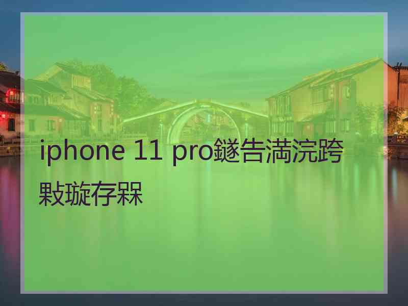 iphone 11 pro鐩告満浣跨敤璇存槑