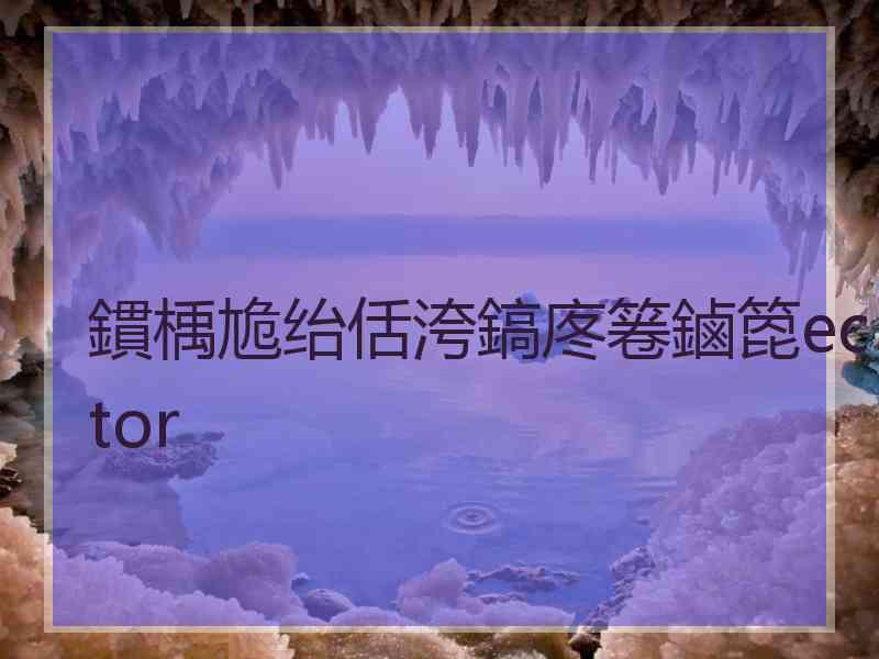 鏆楀尯绐佸洿鎬庝箞鏀箆ector