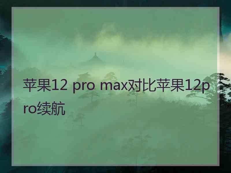 苹果12 pro max对比苹果12pro续航