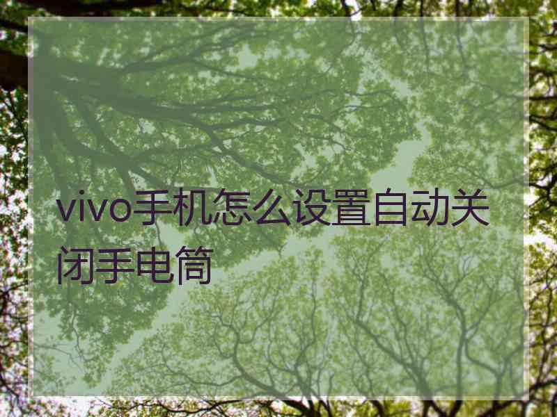 vivo手机怎么设置自动关闭手电筒