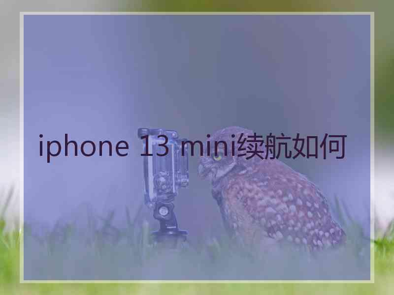 iphone 13 mini续航如何