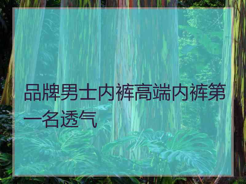 品牌男士内裤高端内裤第一名透气