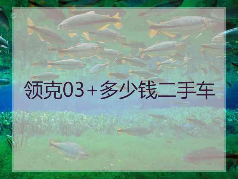 领克03+多少钱二手车