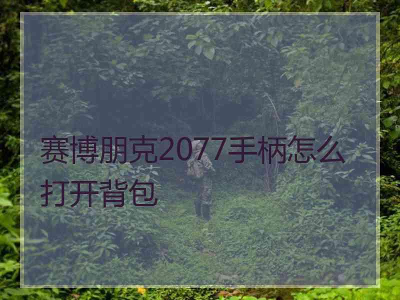 赛博朋克2077手柄怎么打开背包