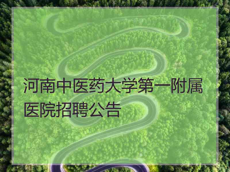 河南中医药大学第一附属医院招聘公告