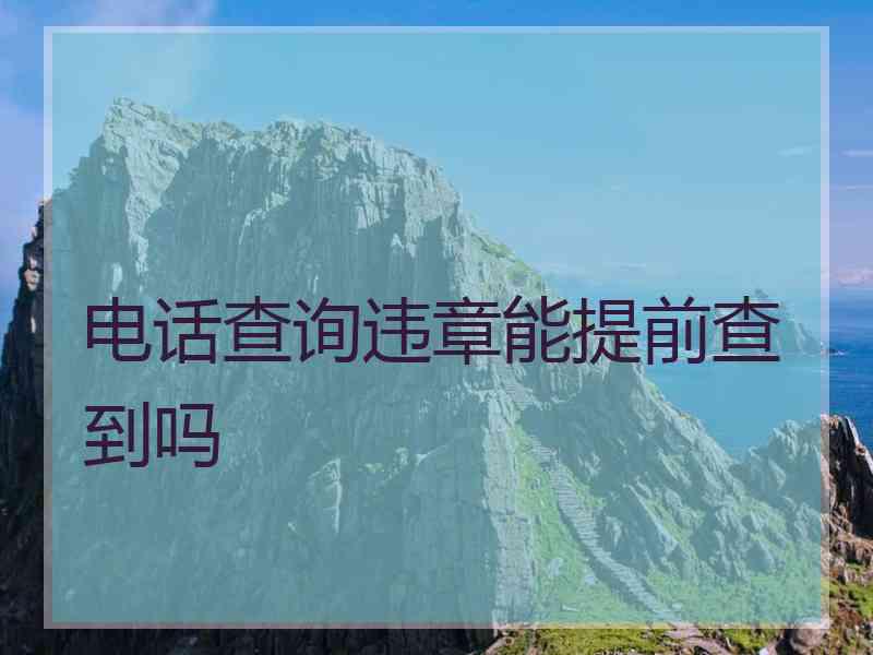 电话查询违章能提前查到吗