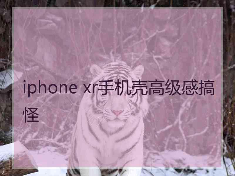 iphone xr手机壳高级感搞怪