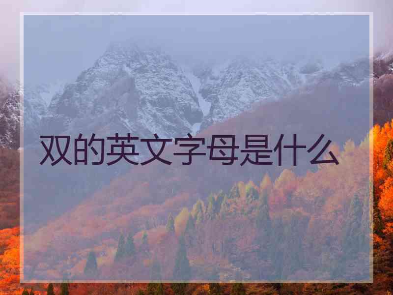 双的英文字母是什么