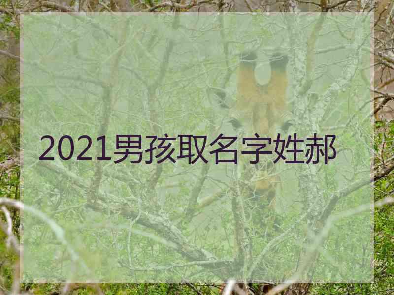 2021男孩取名字姓郝