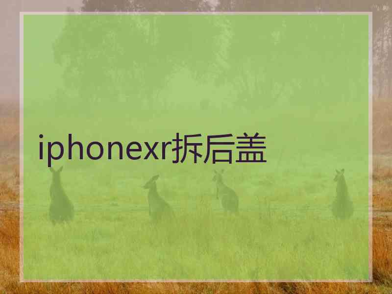 iphonexr拆后盖