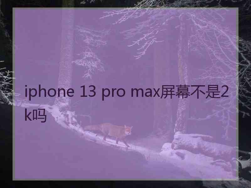 iphone 13 pro max屏幕不是2k吗