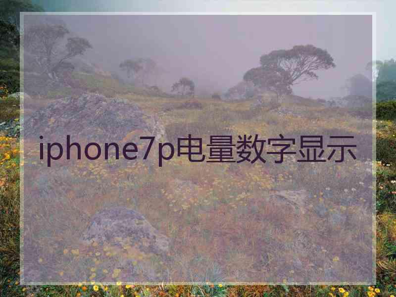 iphone7p电量数字显示