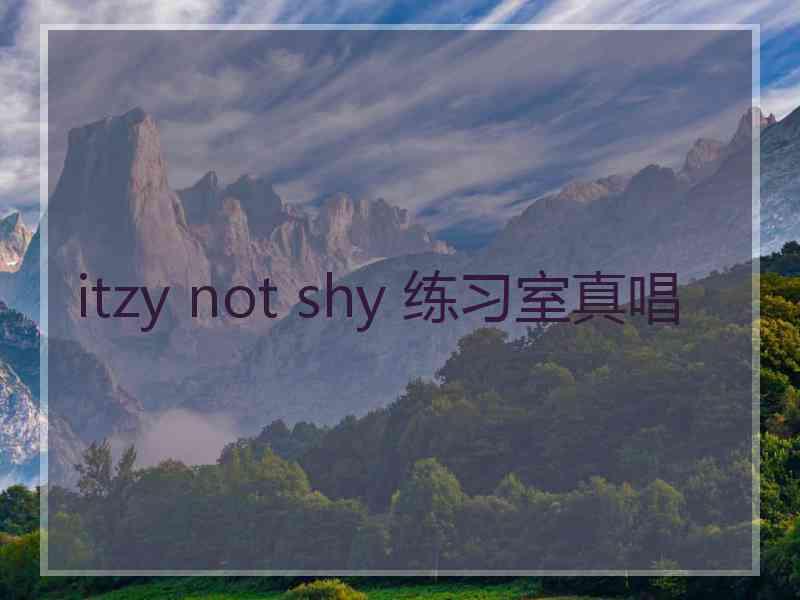 itzy not shy 练习室真唱