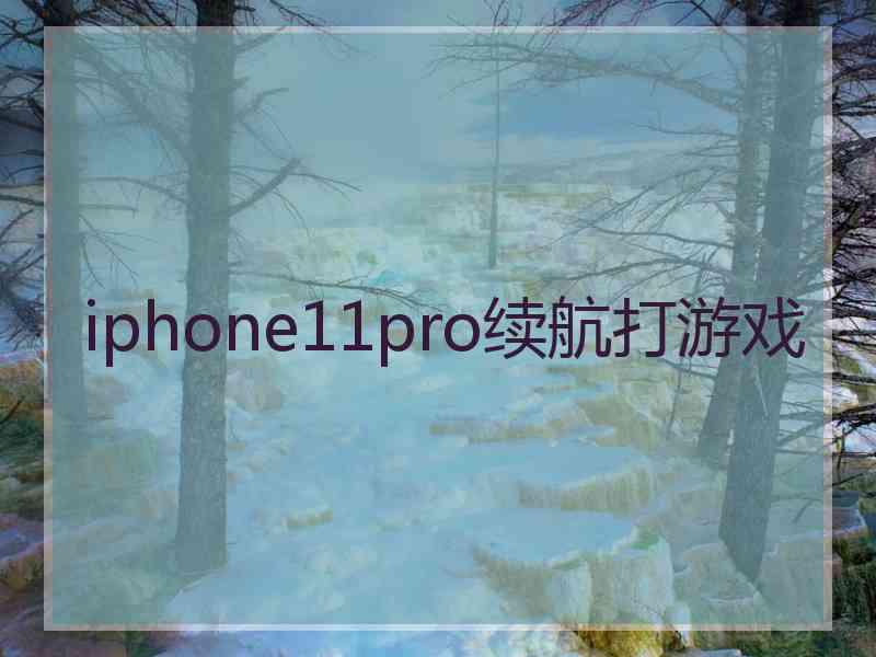 iphone11pro续航打游戏