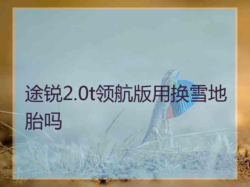 途锐2.0t领航版用换雪地胎吗