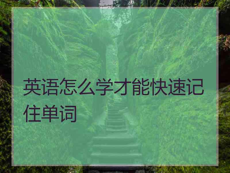 英语怎么学才能快速记住单词