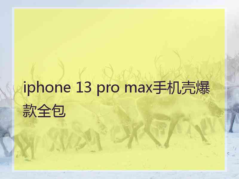 iphone 13 pro max手机壳爆款全包