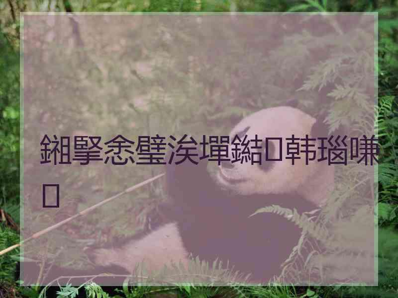 鎺掔悆璧涘墠鐑韩瑙嗛