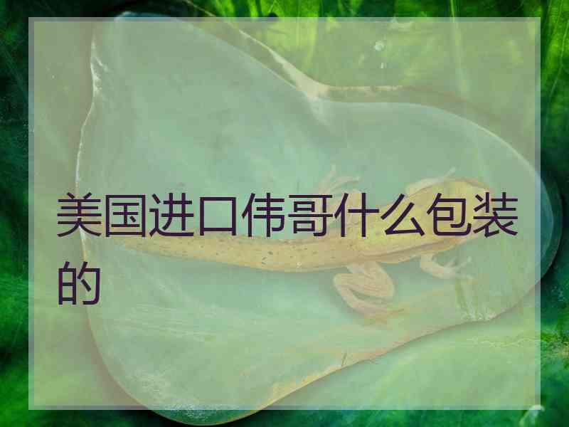 美国进口伟哥什么包装的