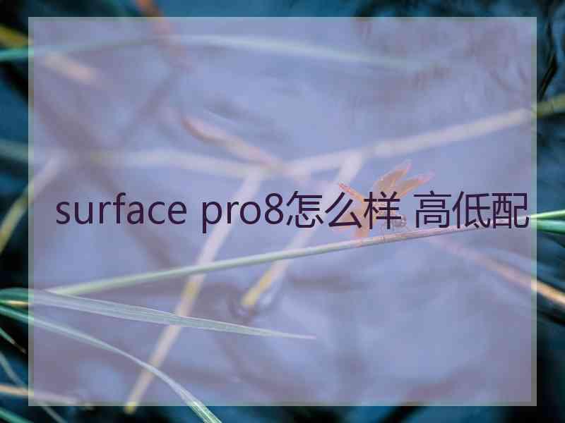 surface pro8怎么样 高低配